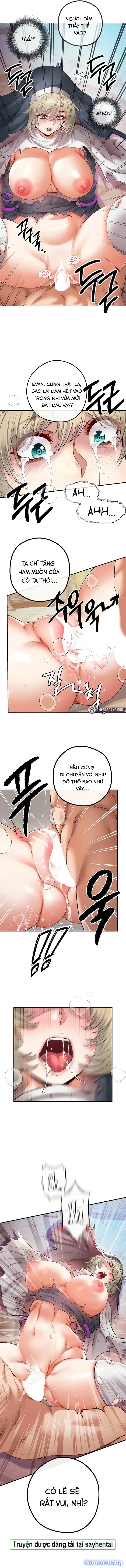 Trả thù bằng dàn Harem 