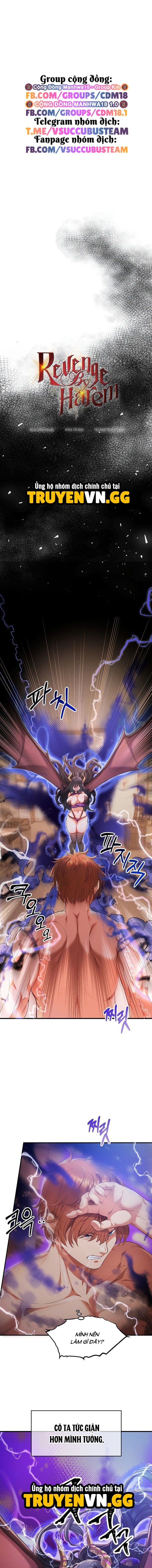 Trả thù bằng dàn Harem 