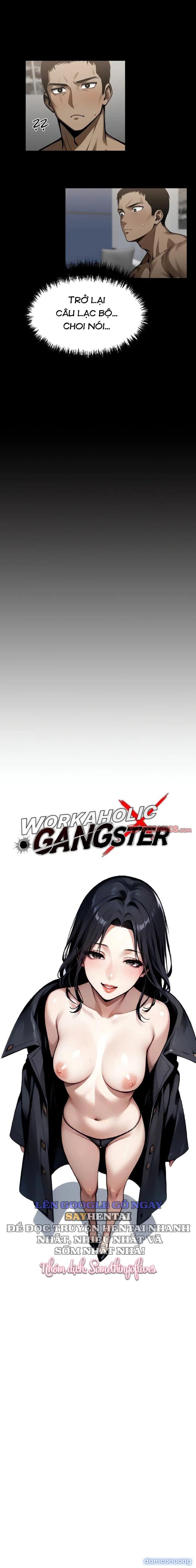 Găng Tơ X Nữ Văn Phòng 