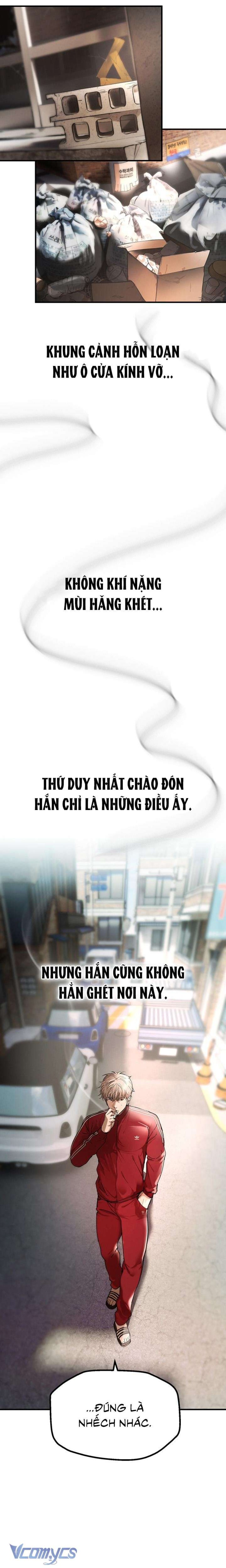 Những Ngày Tươi Đẹp 