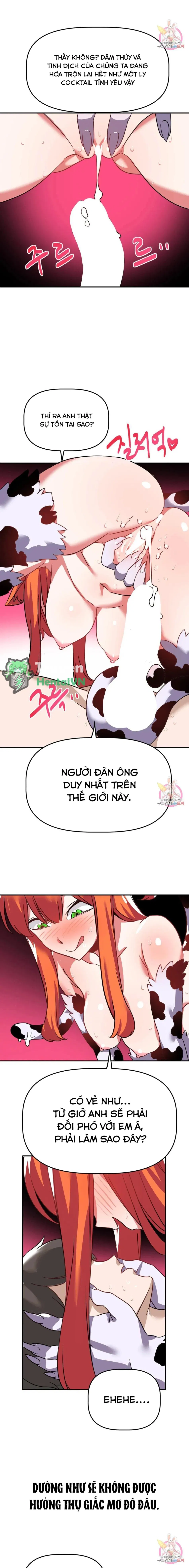 Vùng Đất Không Đàn Ông 