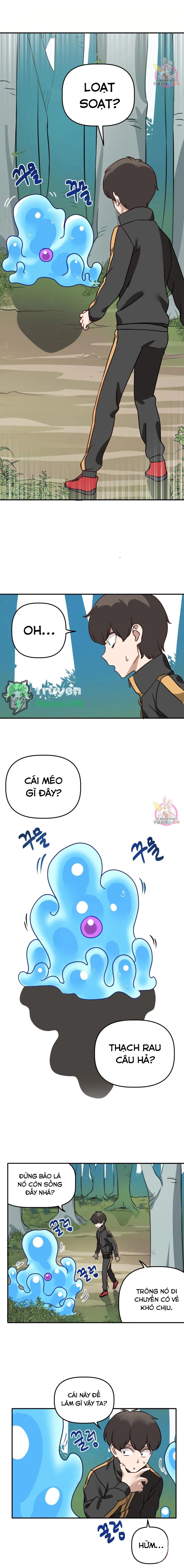 Vùng Đất Không Đàn Ông 