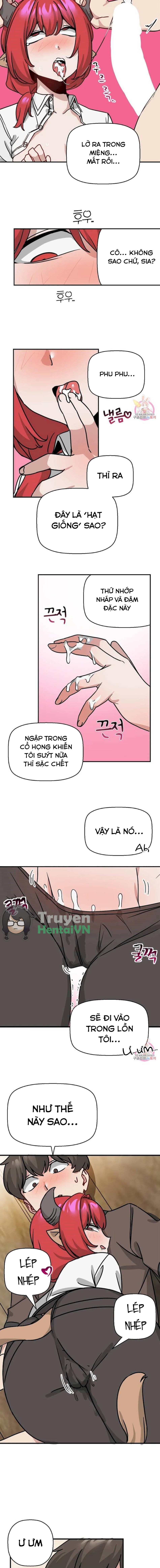 Vùng Đất Không Đàn Ông 