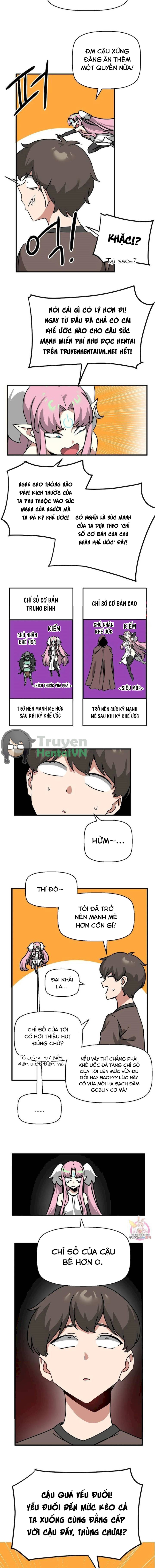 Vùng Đất Không Đàn Ông 