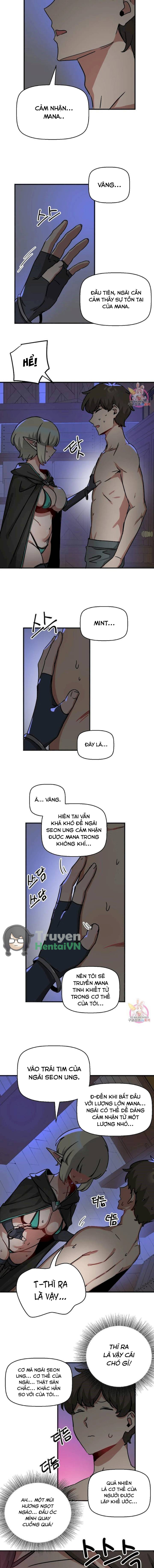 Vùng Đất Không Đàn Ông 