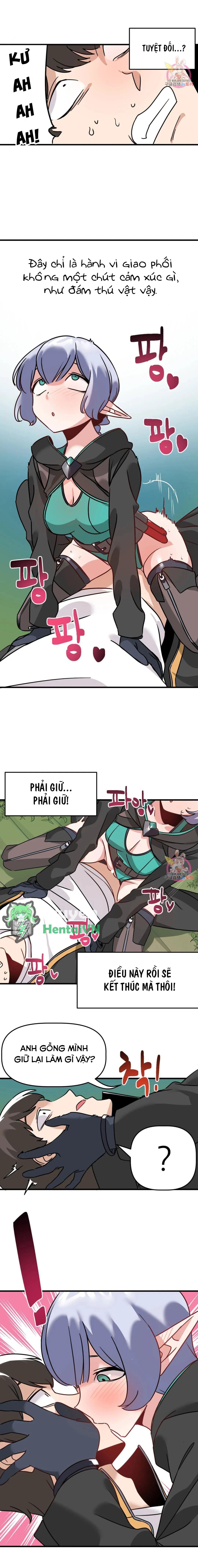 Vùng Đất Không Đàn Ông 