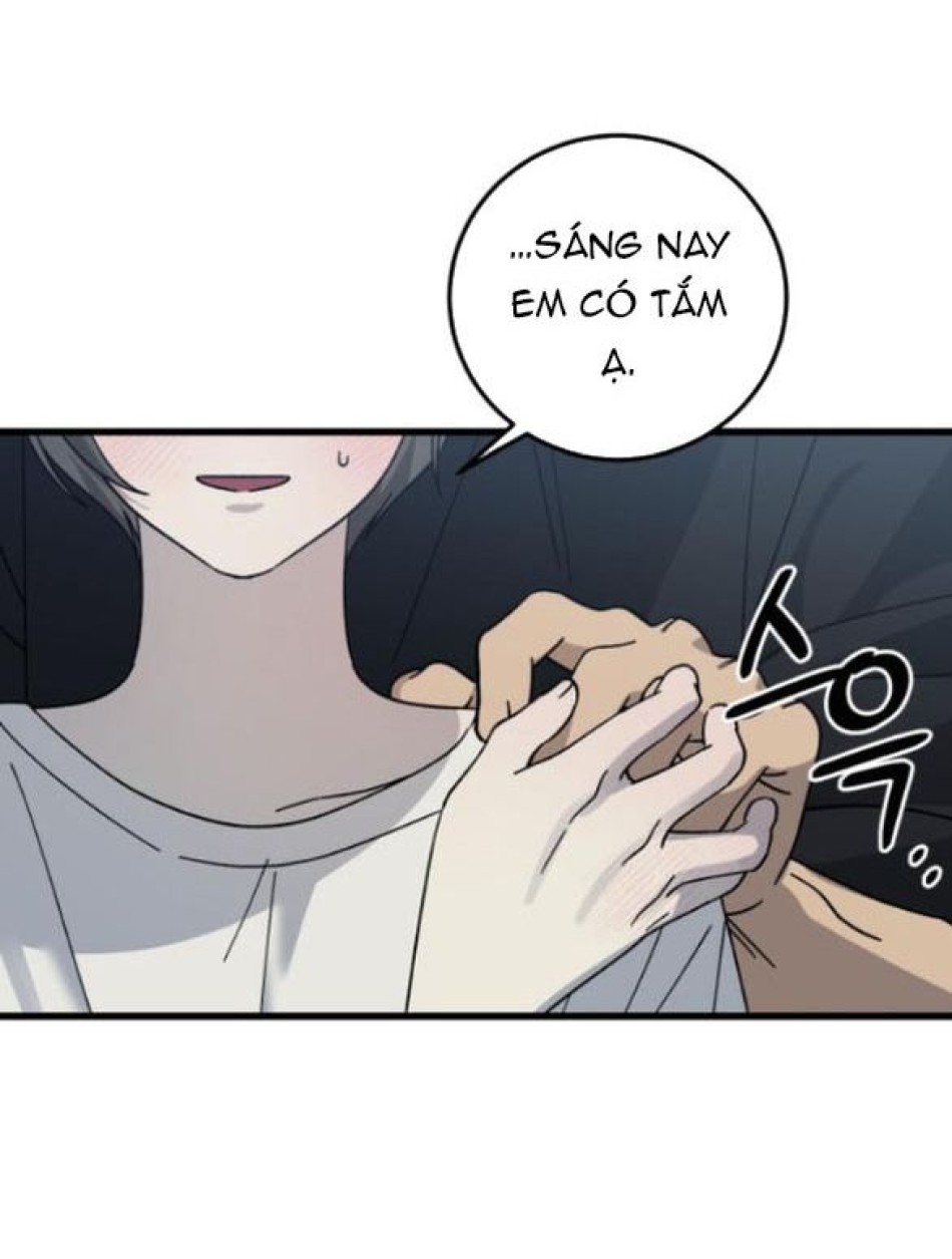 Quy Luật Về Rác Rưởi 