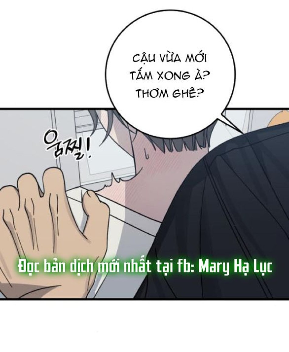 Quy Luật Về Rác Rưởi 