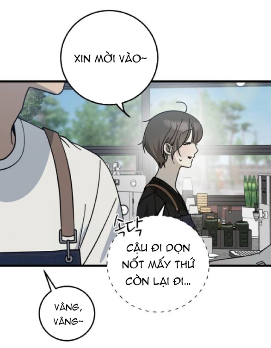 Quy Luật Về Rác Rưởi 