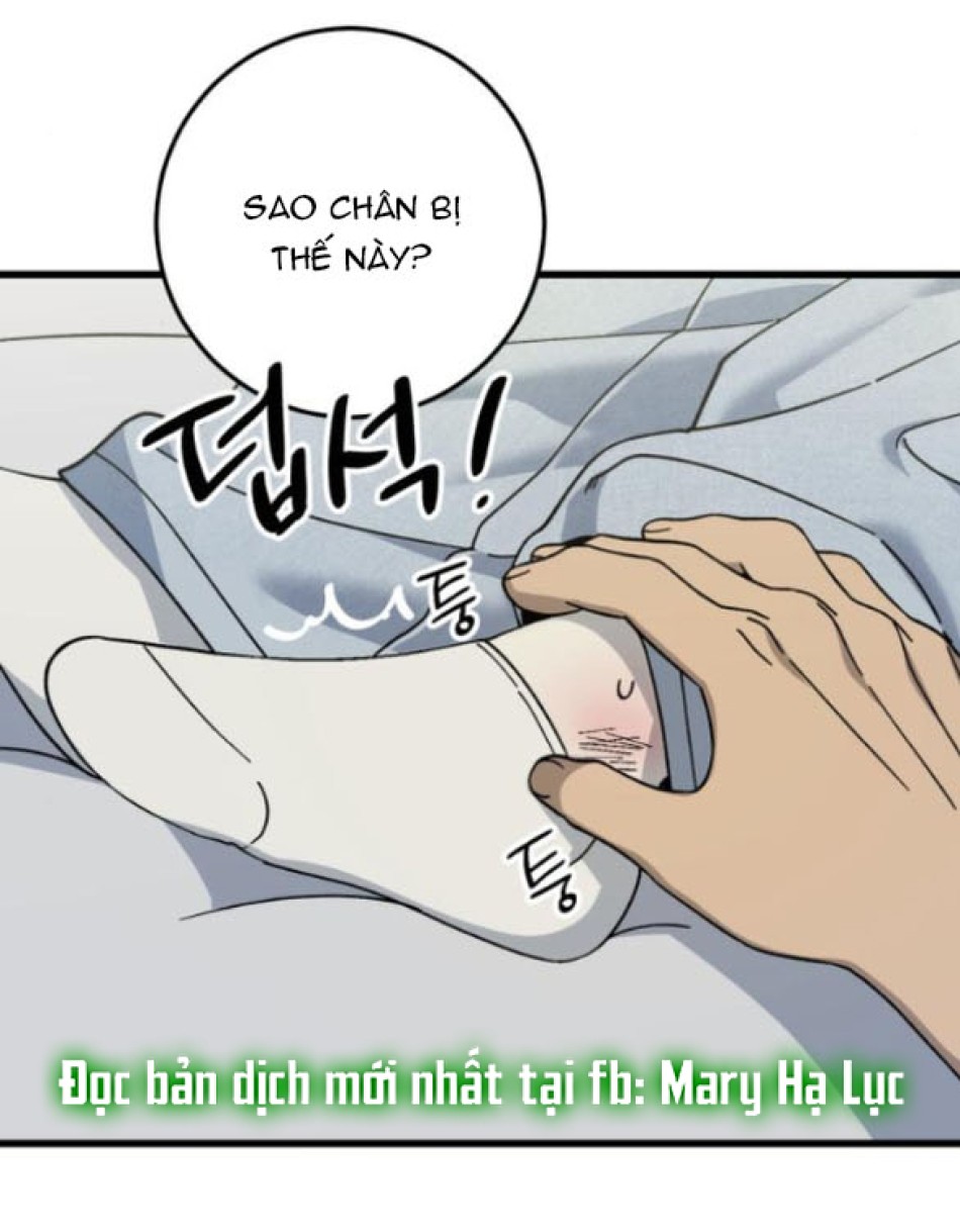 Quy Luật Về Rác Rưởi 