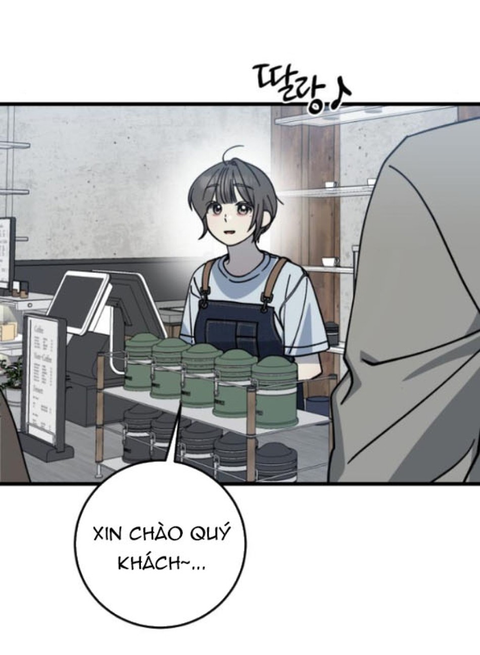 Quy Luật Về Rác Rưởi 