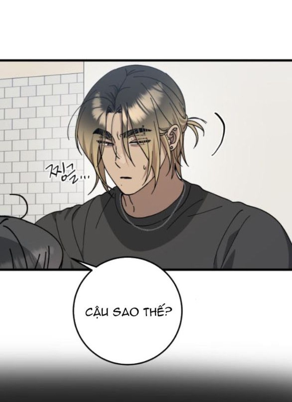 Quy Luật Về Rác Rưởi 