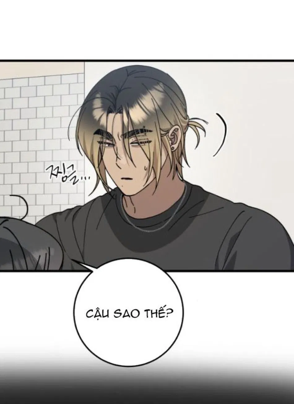 Quy Luật Về Rác Rưởi 