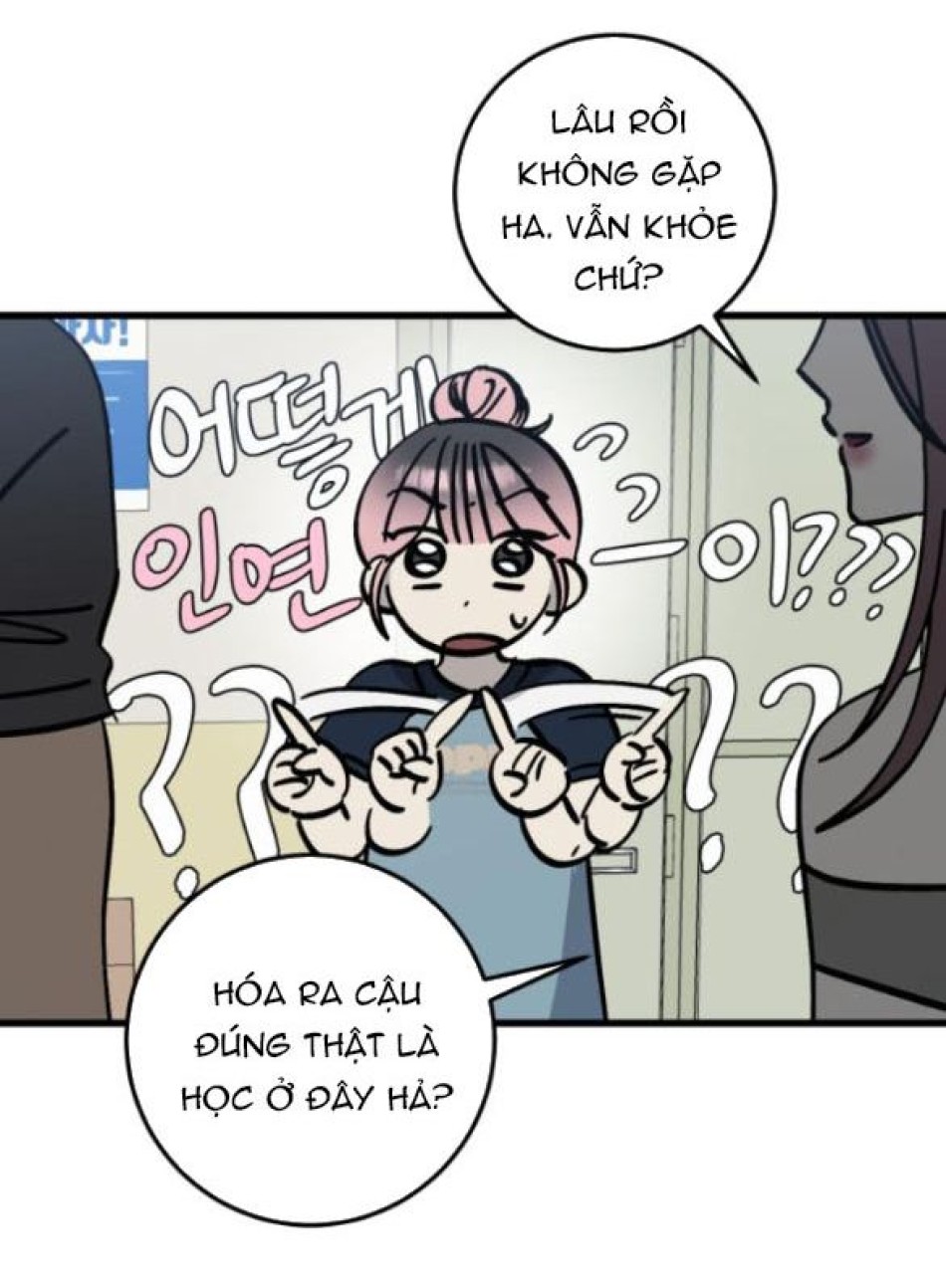 Quy Luật Về Rác Rưởi 