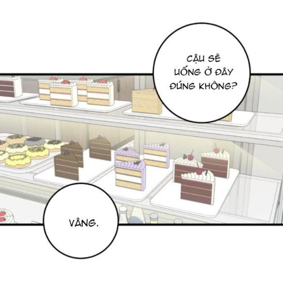 Quy Luật Về Rác Rưởi 