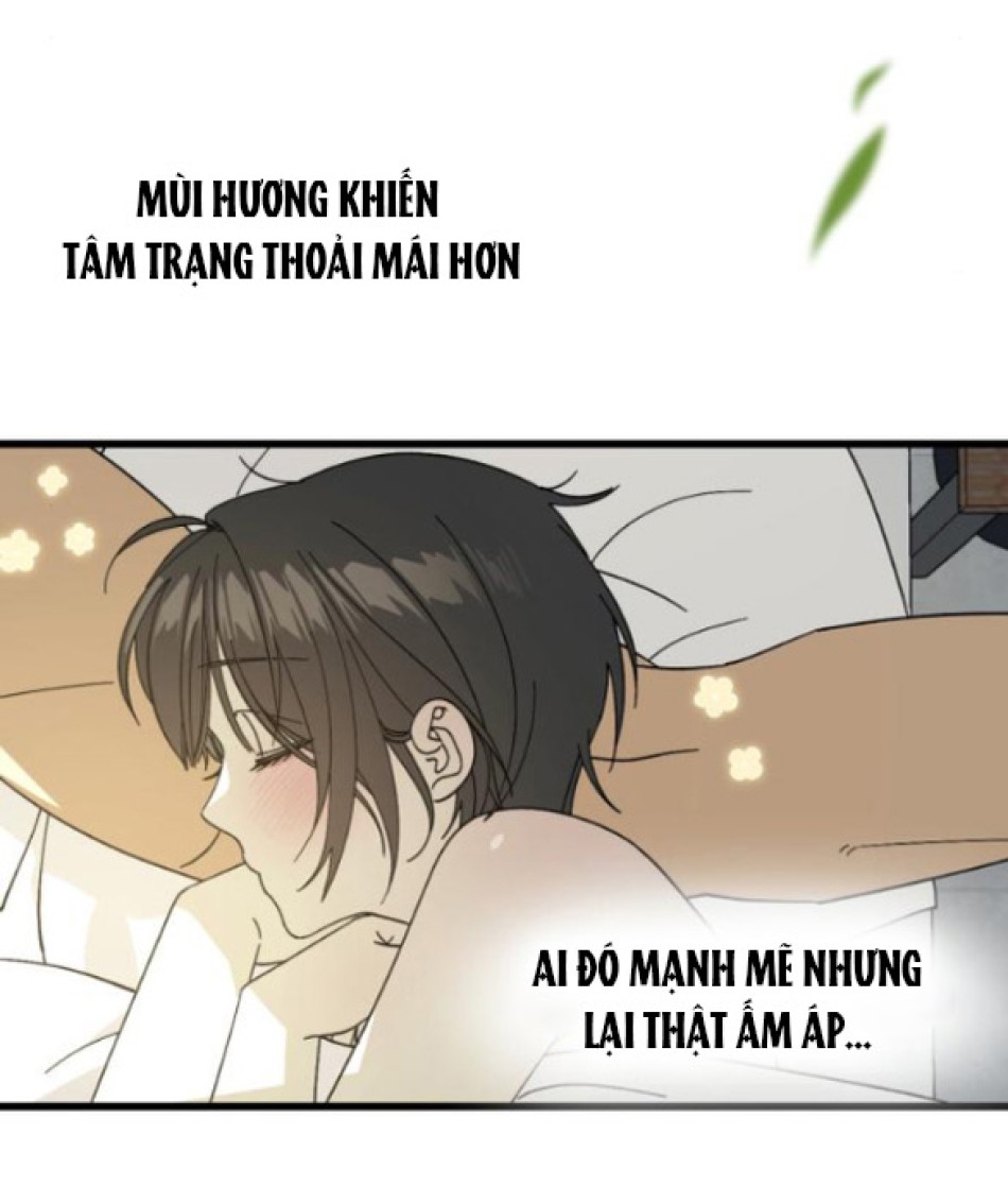 Quy Luật Về Rác Rưởi 