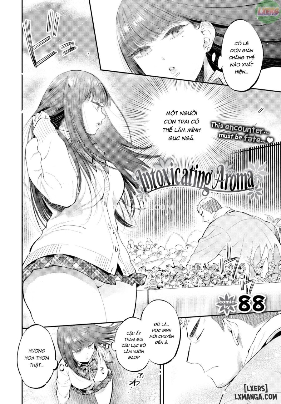 Intoxicating Aroma 