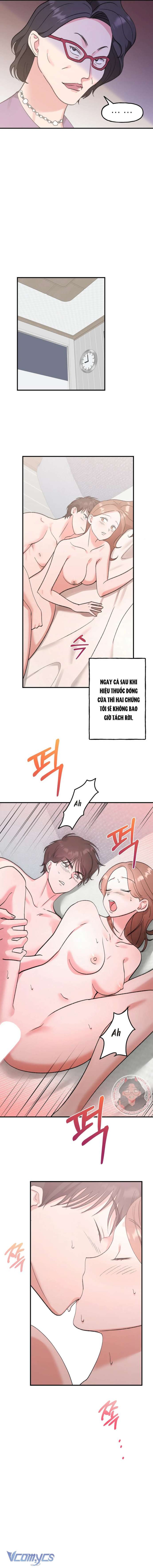 [18+] Hồng Hư Hỏng 