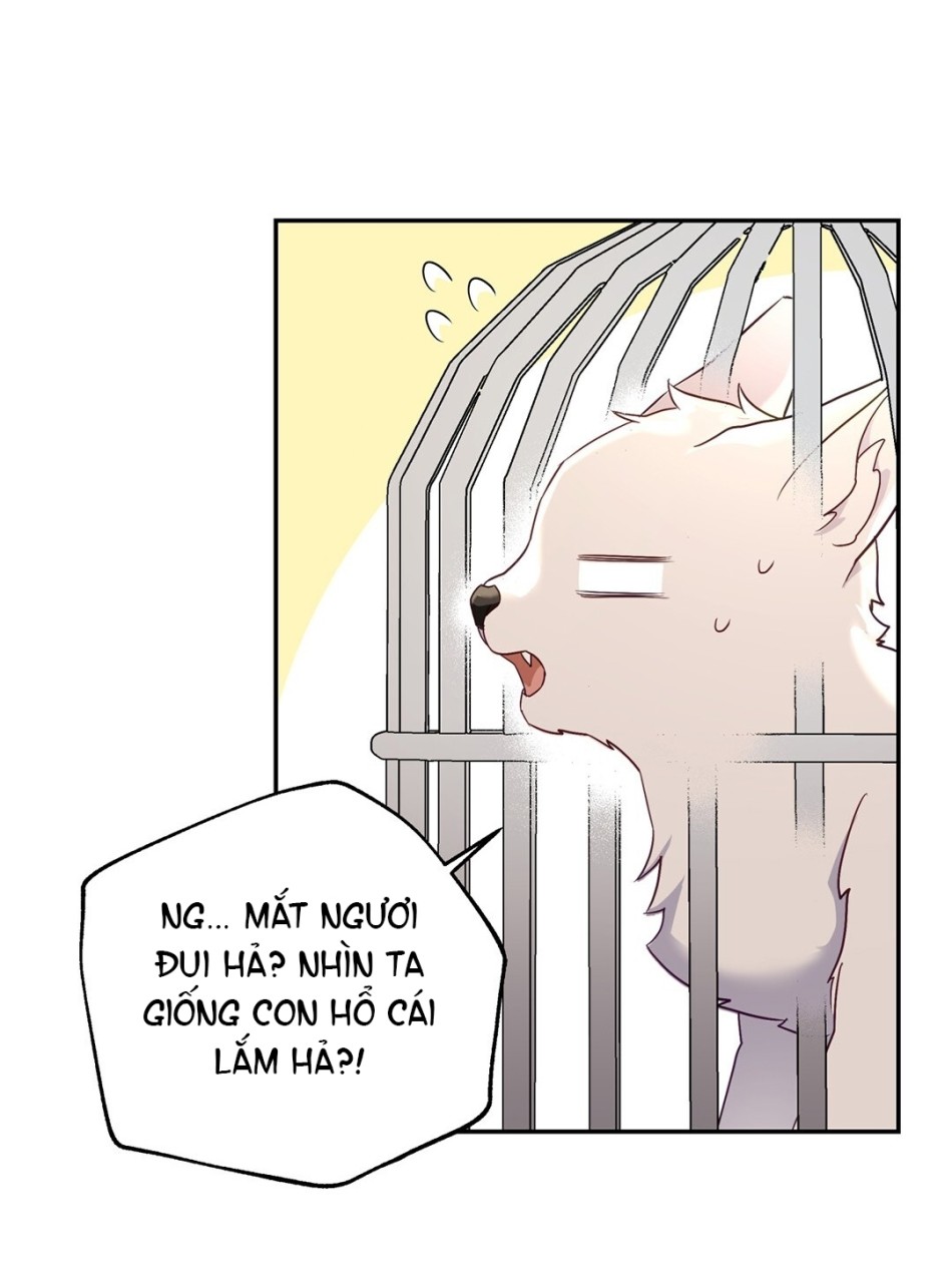 [18+] KHÚC NHẠC CỦA CẦM THÚ 