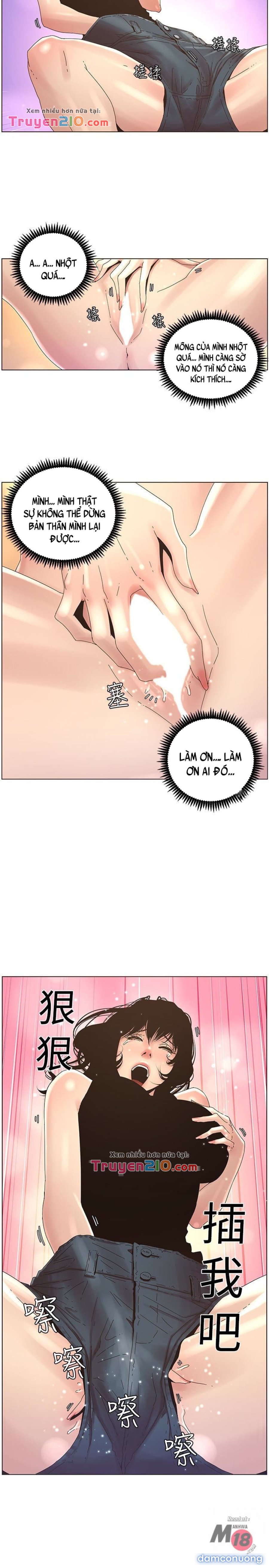 Bố Đường (Sugar Daddy) 
