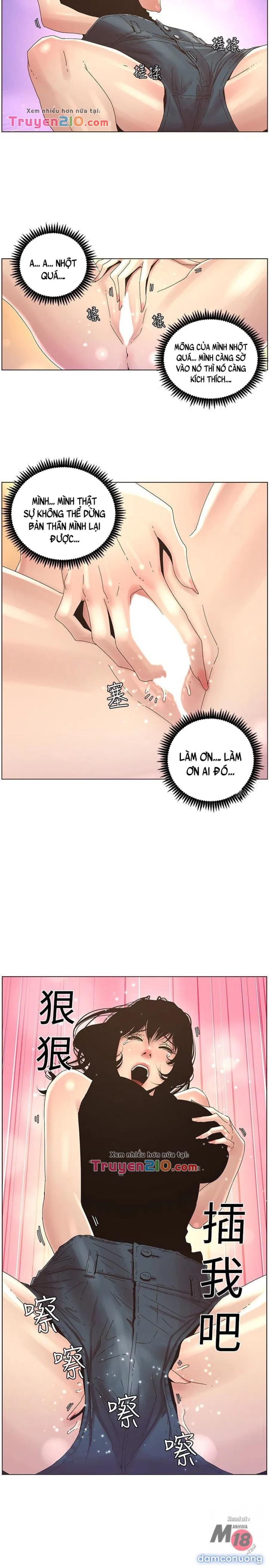 Bố Đường (Sugar Daddy) 