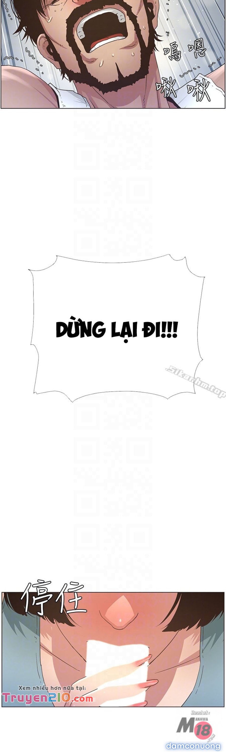 Bố Đường (Sugar Daddy) 