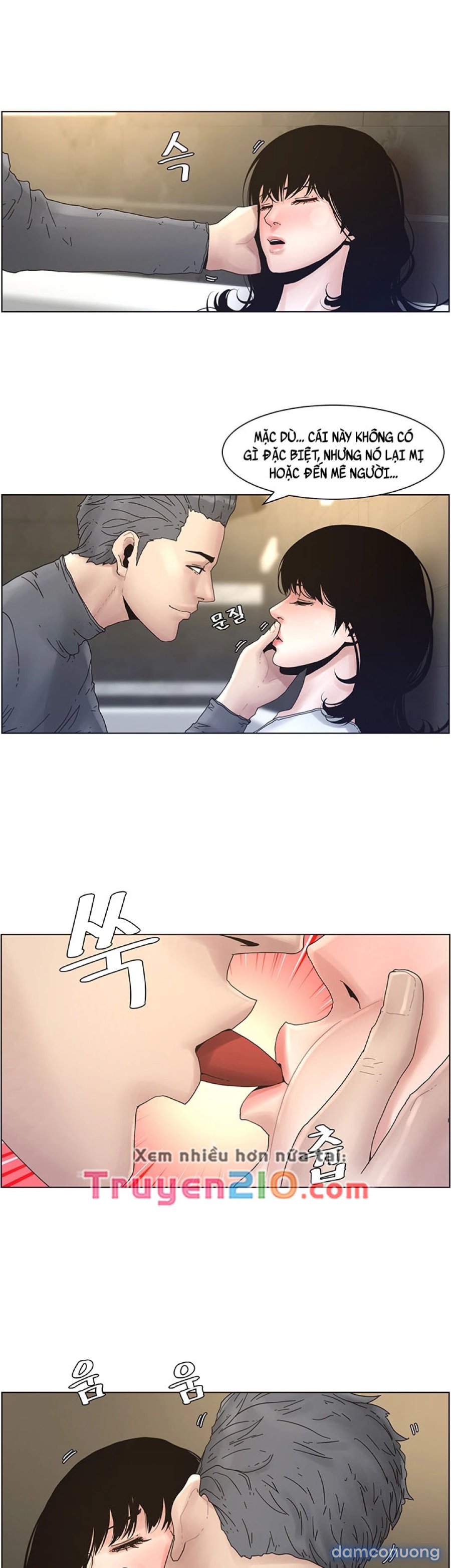 Bố Đường (Sugar Daddy) 