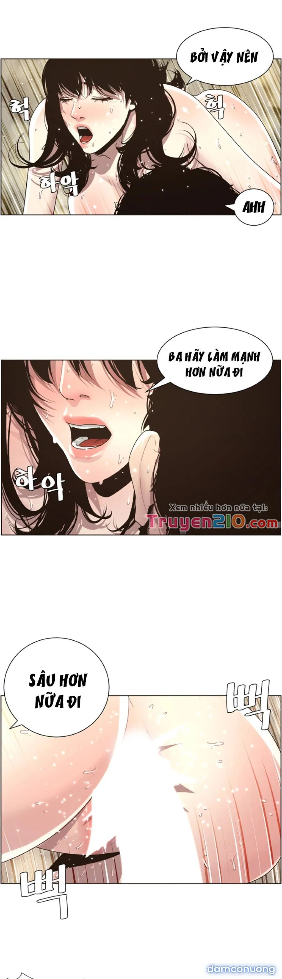 Bố Đường (Sugar Daddy) 