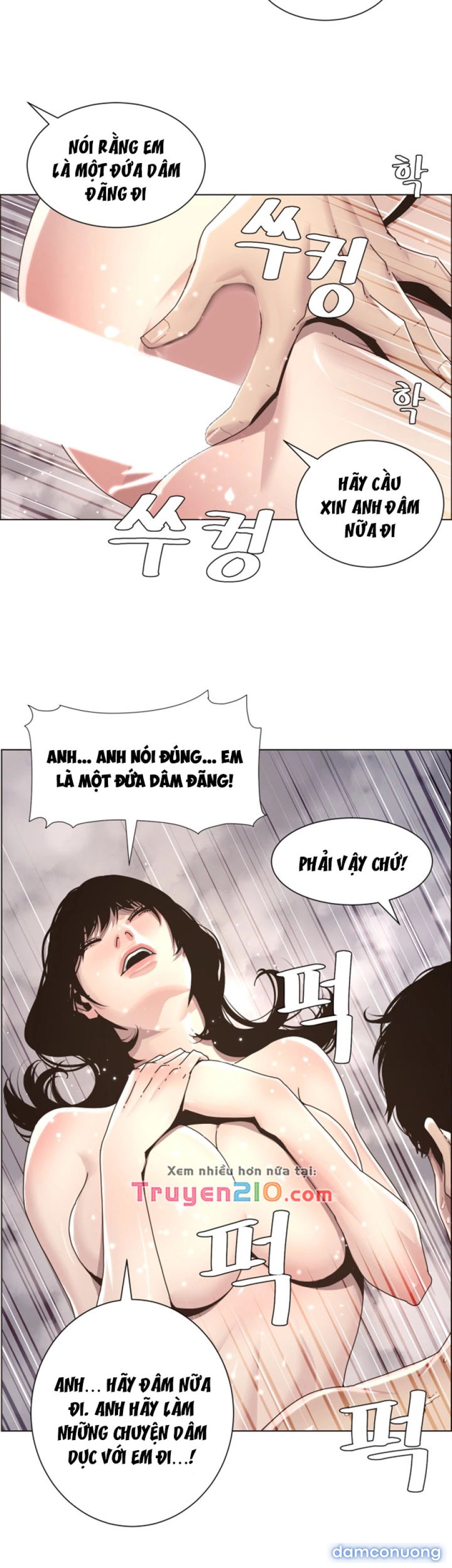 Bố Đường (Sugar Daddy) 