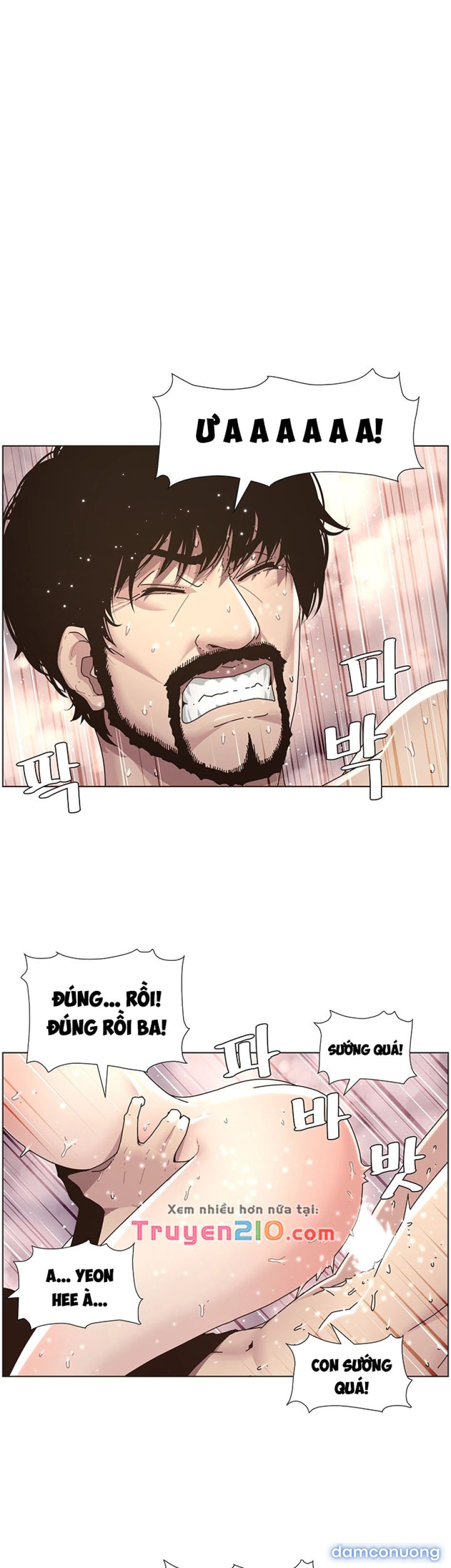 Bố Đường (Sugar Daddy) 