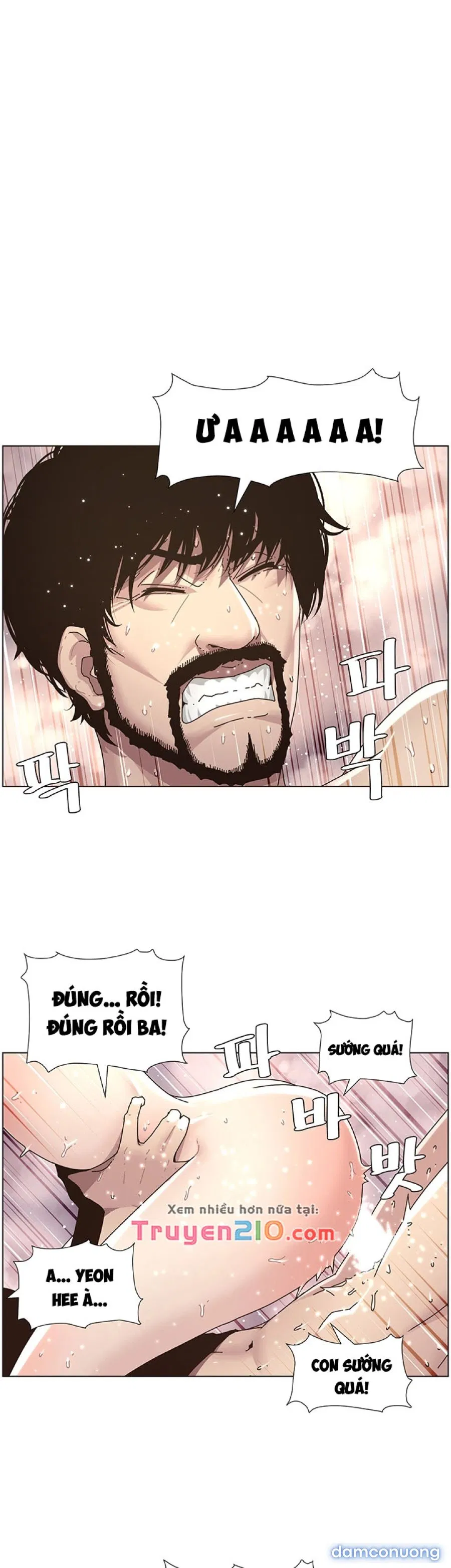 Bố Đường (Sugar Daddy) 