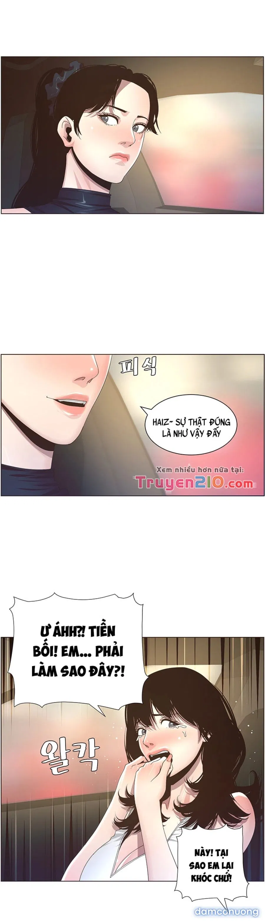 Bố Đường (Sugar Daddy) 