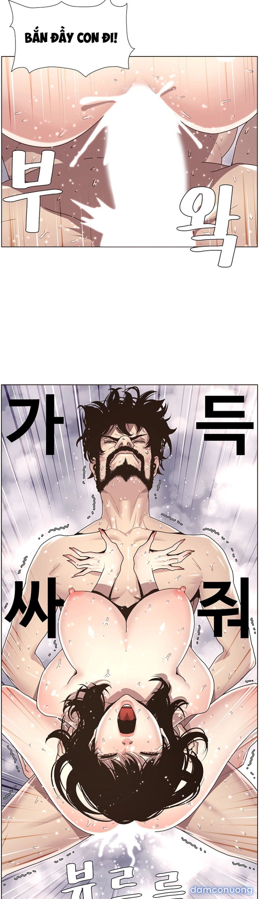 Bố Đường (Sugar Daddy) 