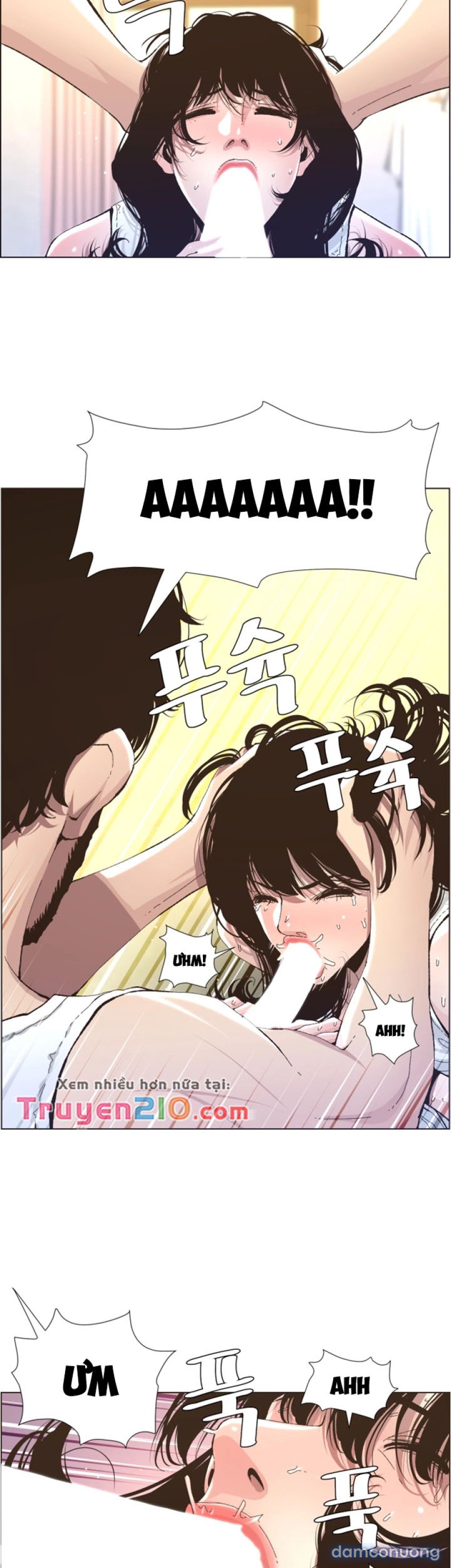 Bố Đường (Sugar Daddy) 
