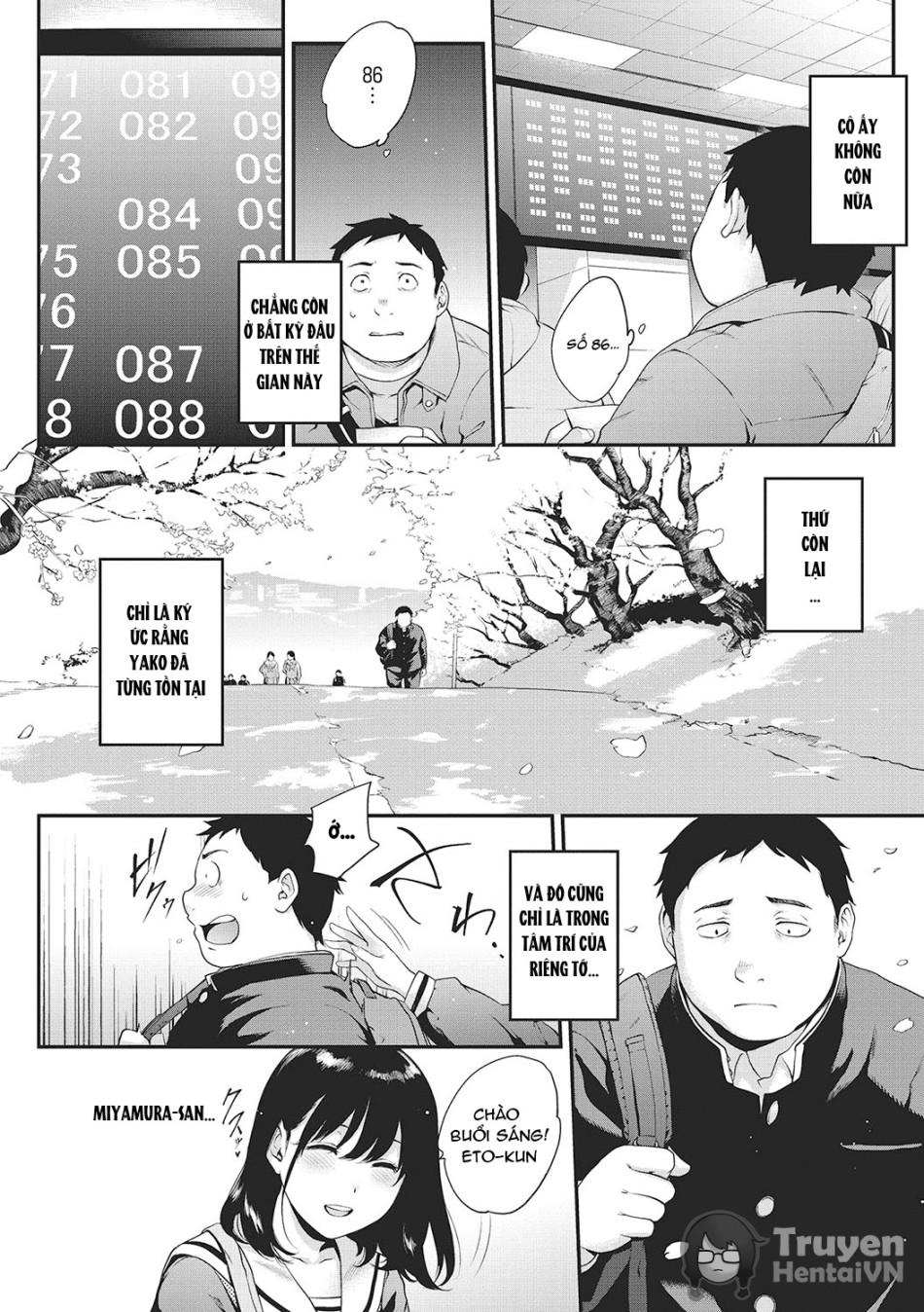Minasoko (NocturnaL) 