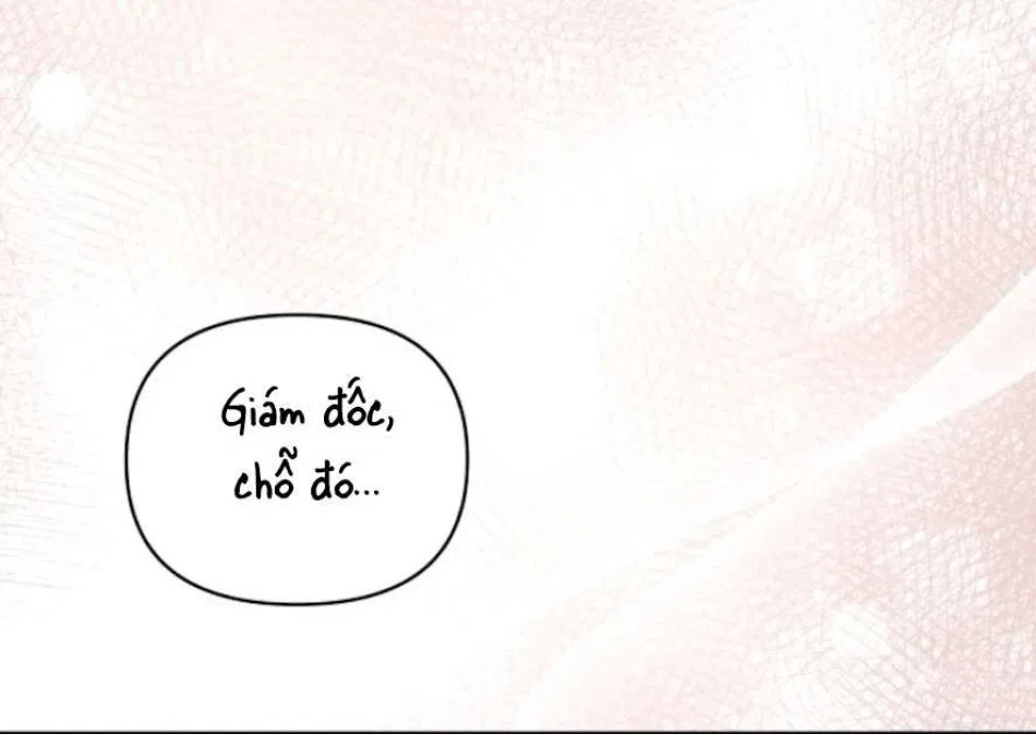 Chính Sách Khuyến Khích 
