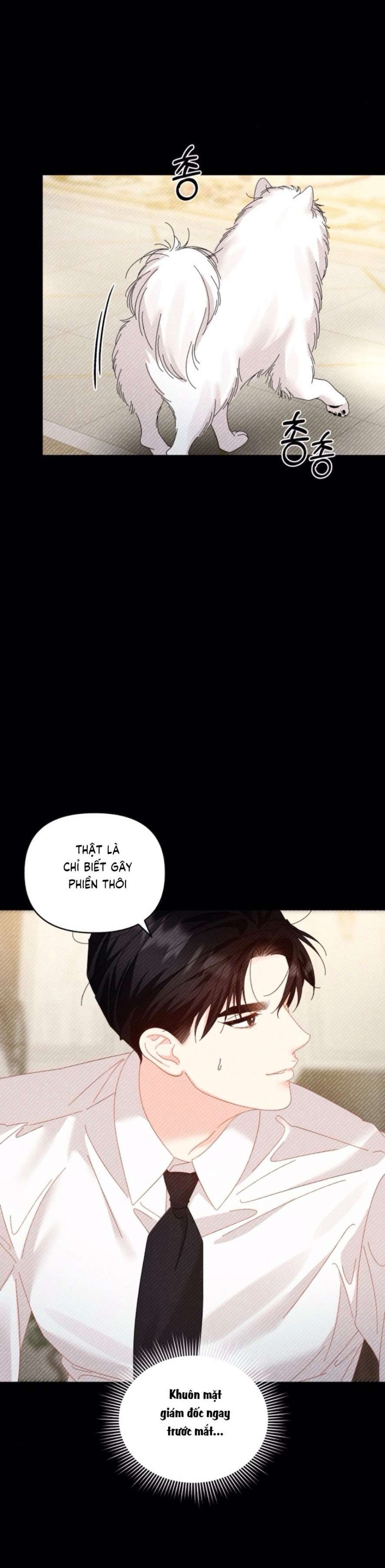 Chính Sách Khuyến Khích 