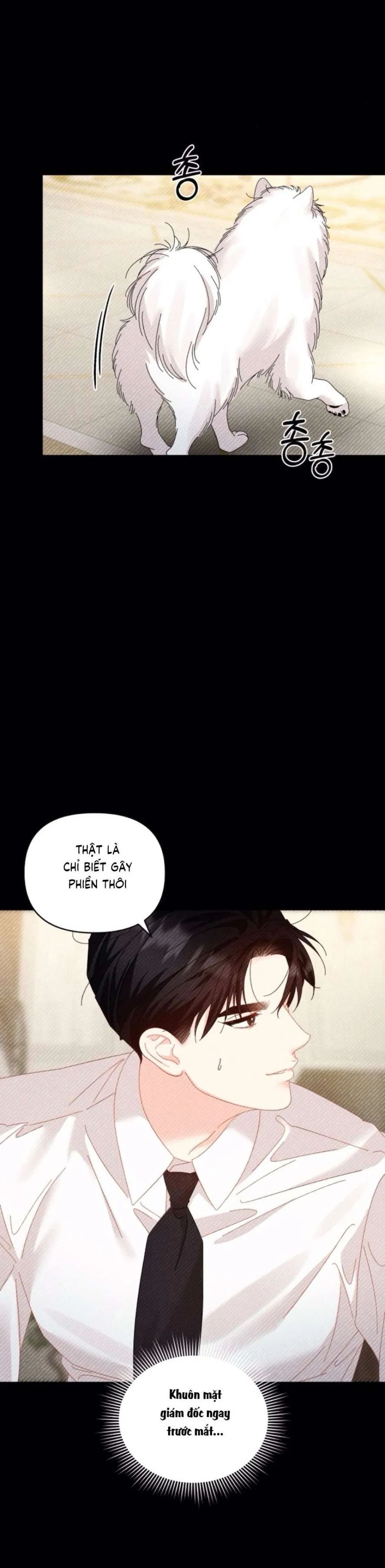 Chính Sách Khuyến Khích 