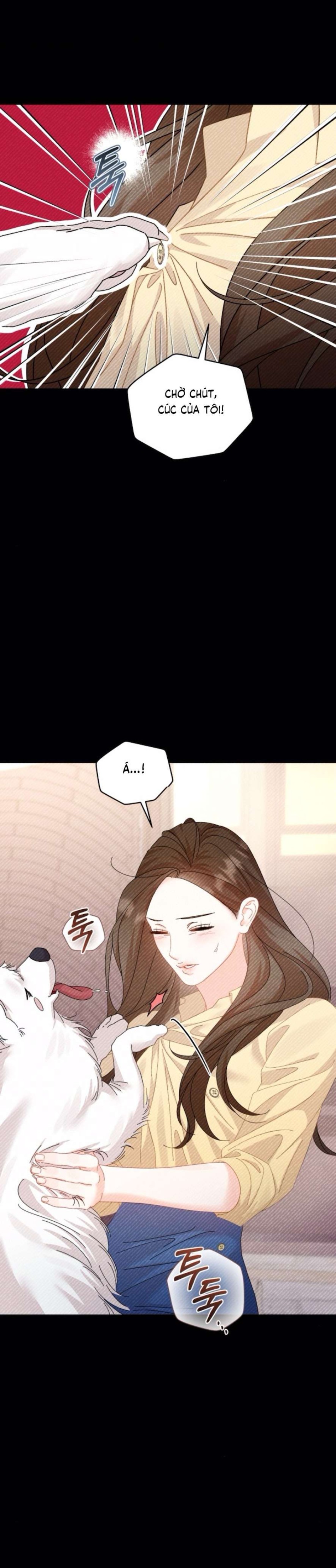 Chính Sách Khuyến Khích 