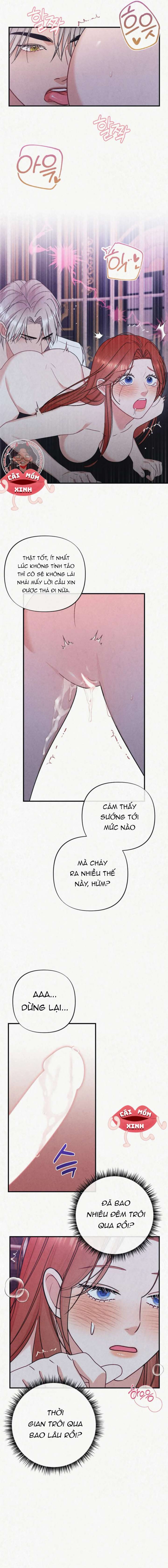 Tù Binh Trong Mơ 