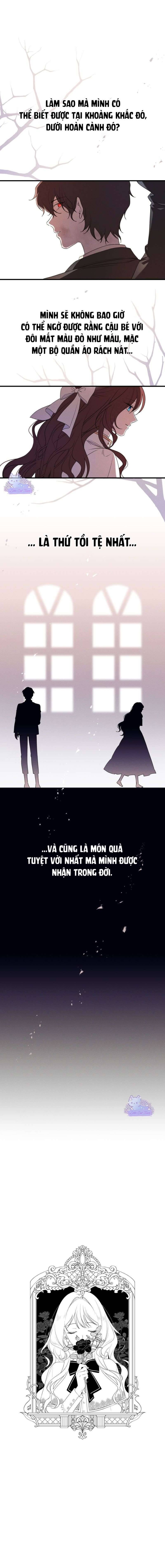 Nỗi Ám Ảnh Là Tình Yêu Và Cố Chấp 
