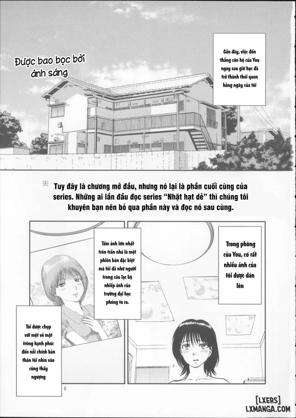 栗拾い総集編 