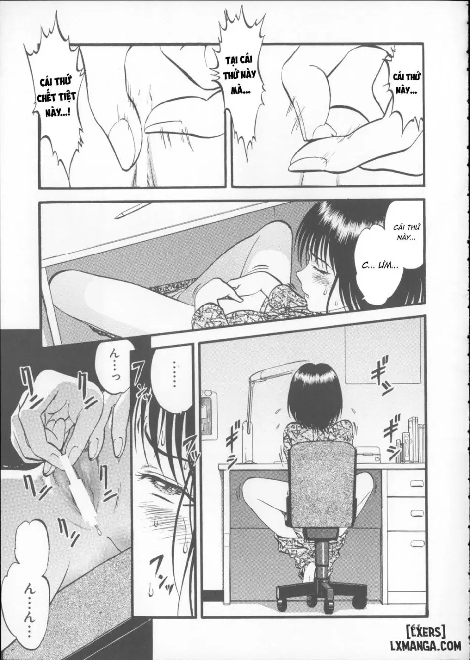 栗拾い総集編 
