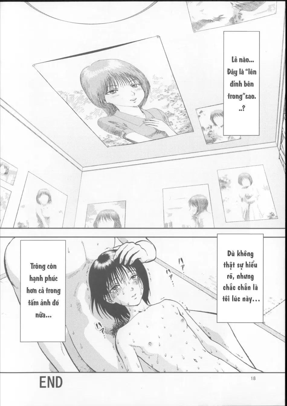 Hái Hạt Dẻ 