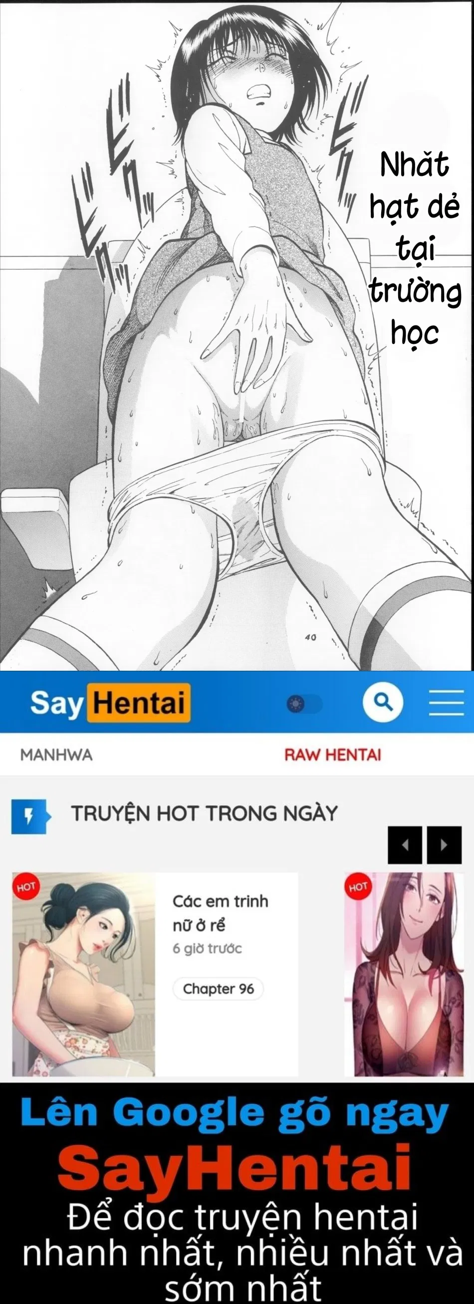 Hái Hạt Dẻ 