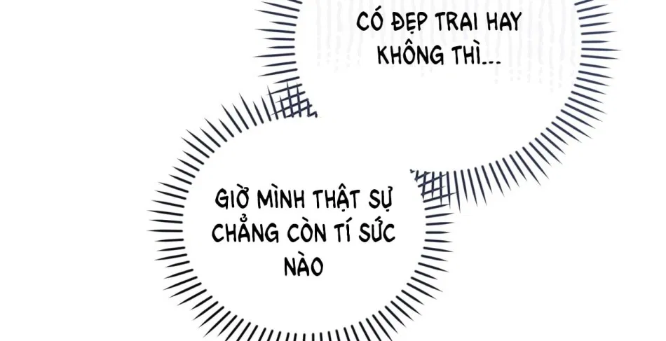 [18+] Bánh Mì Baguette Sữa Đặc Ngon Tuyệt 