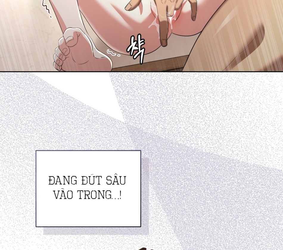 [18+] Bánh Mì Baguette Sữa Đặc Ngon Tuyệt 