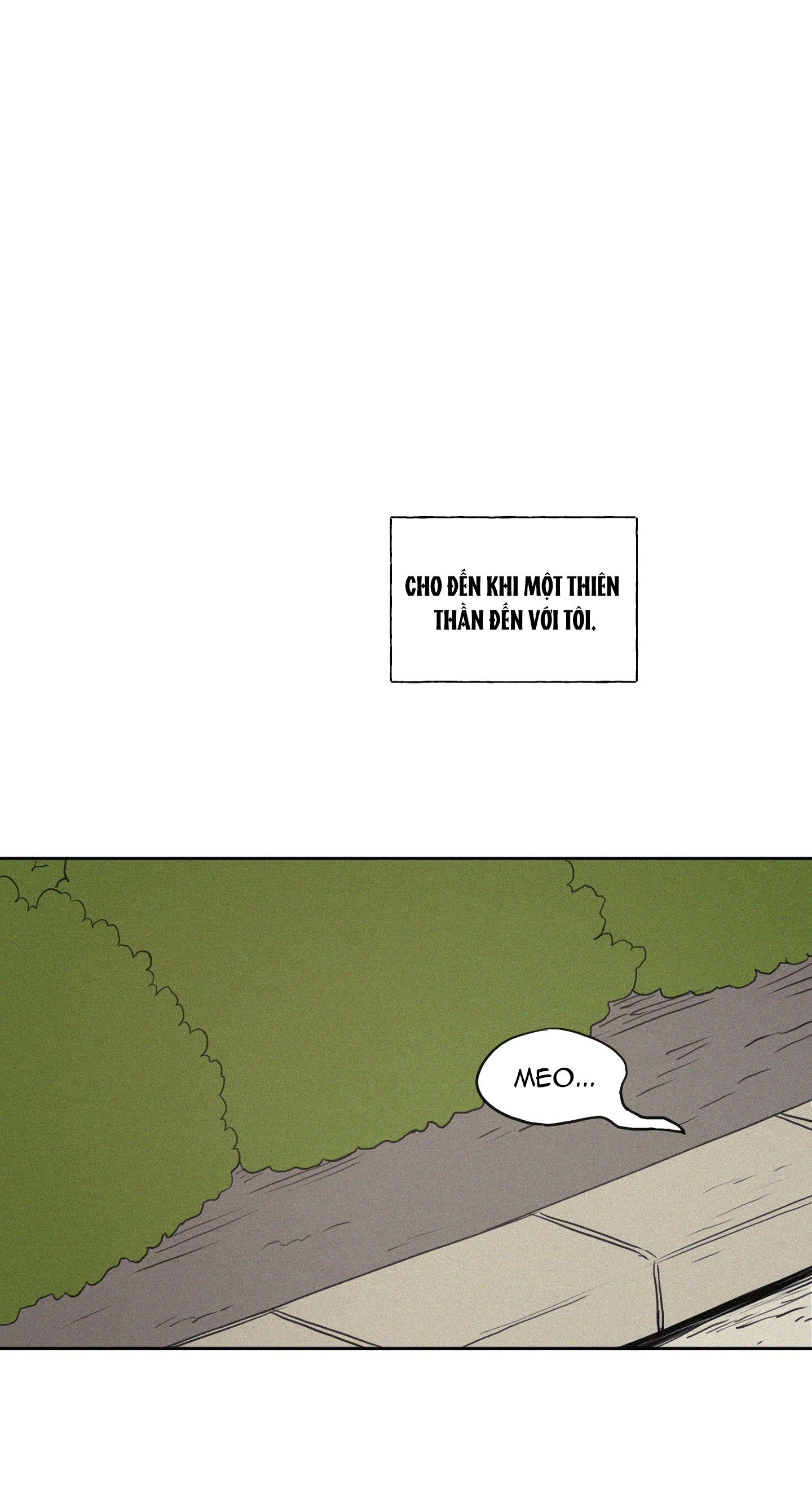 [18+] 3XLOVE 