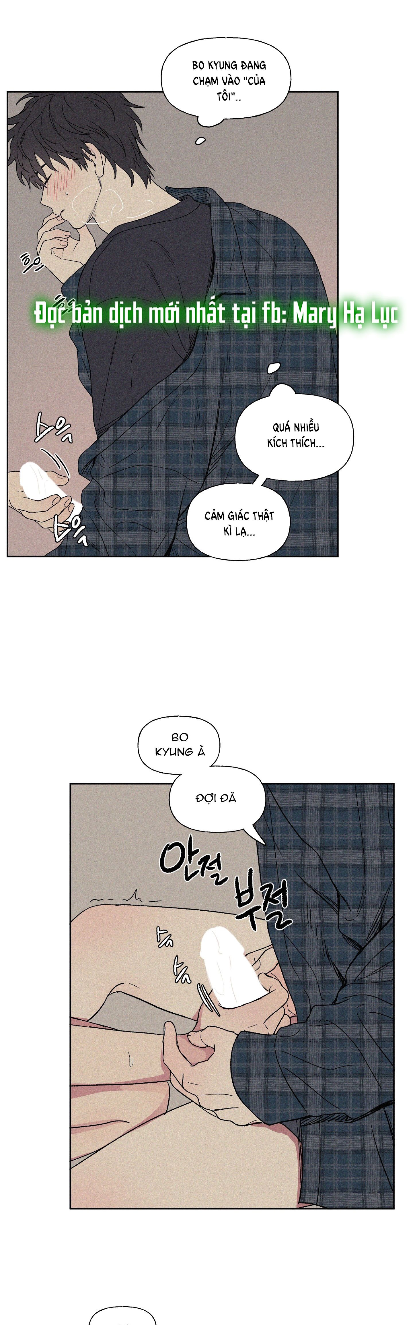 [18+] 3XLOVE 