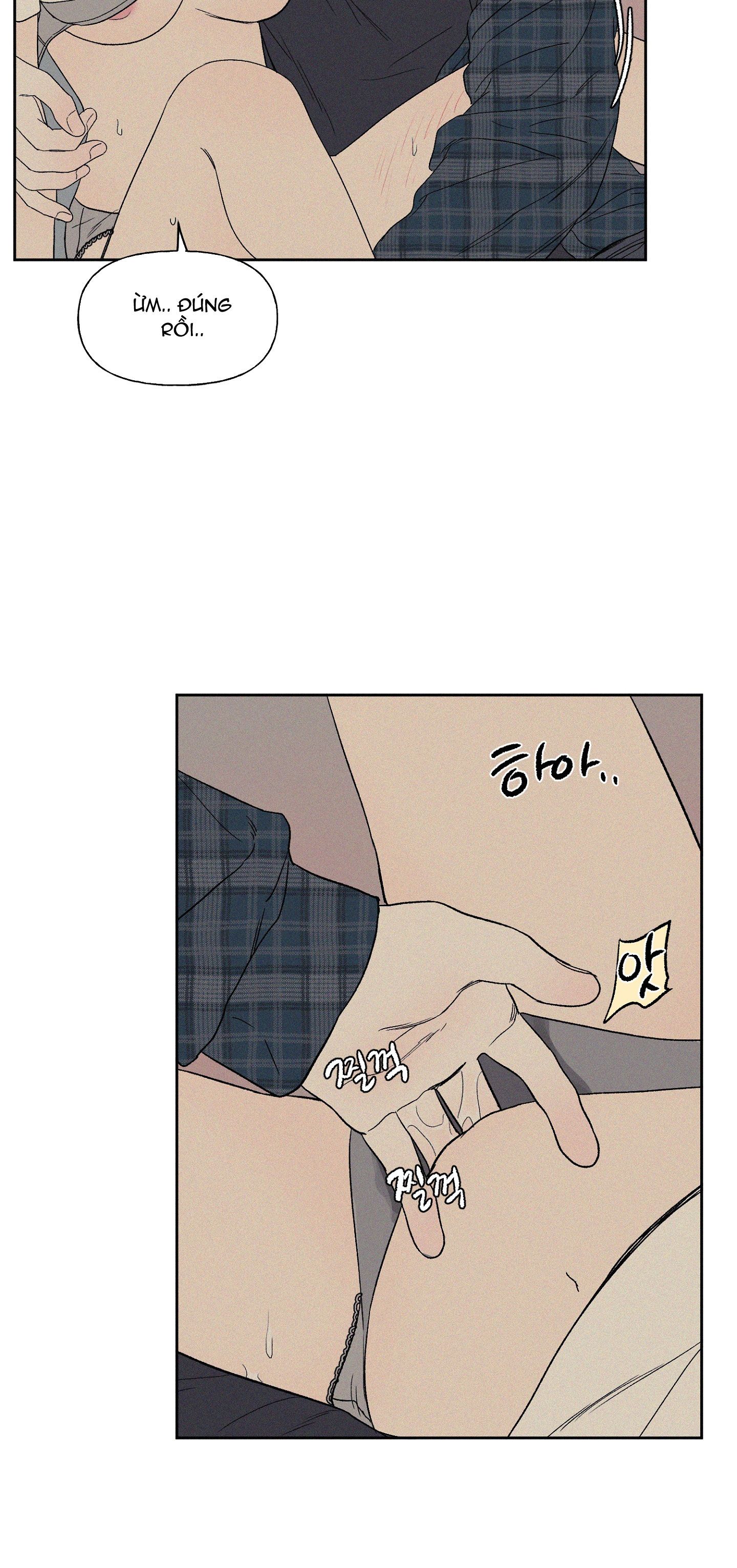 [18+] 3XLOVE 